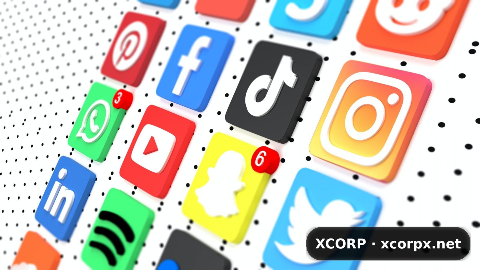 Servicios de crecimiento en redes sociales: Instagram y TikTok, XCORP